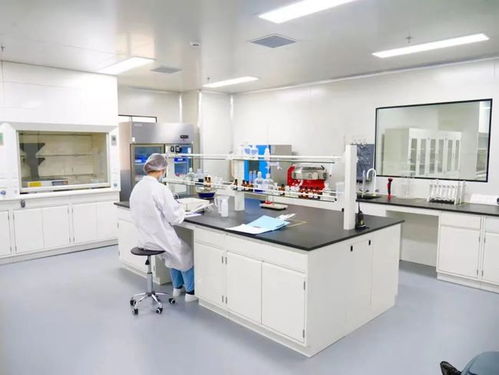 專業(yè)見證 品質(zhì)護(hù)航——走進(jìn)妙可藍(lán)多奶酪工廠，直擊品牌硬實力